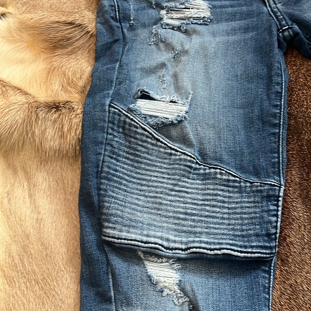 Kancan Capris - Picture 5 of 5